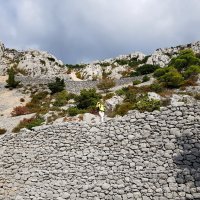 Francuska cesta u Brelima