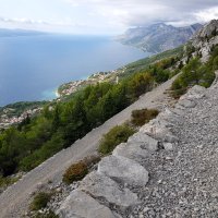 Francuska cesta u Brelima