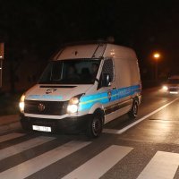 Todorić u Remetincu