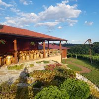 Martinje  u vinskoj kući Hažić