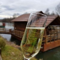 Martinje u Sv. Martinu na Muri