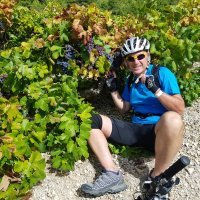 Pelješac Mali plavac