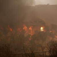 Požari haraju Kalifornijom