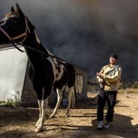 Požari haraju Kalifornijom