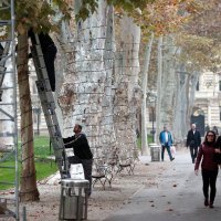 Božićno kićenje Zagreba