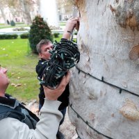 Božićno kićenje Zagreba