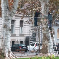 Božićno kićenje Zagreba