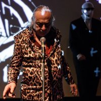 Ljubavni slučaj Fahrije P.