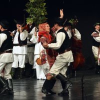 Ansambl Lado održao koncert u prepunoj dvorani Ivane Brlić-Mažuranić