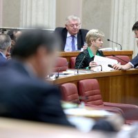 Grozdana Perić, Davor Lončar