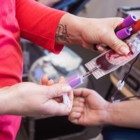 Na obljetnicu stradavanja Vukovara vojnici darovali krv