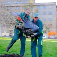 Incident kod Meštrovićevog paviljona