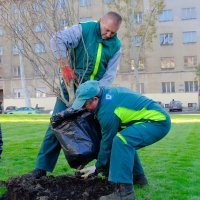 Incident kod Meštrovićevog paviljona