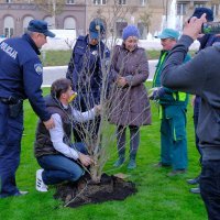 Incident kod Meštrovićevog paviljona