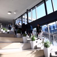 Američka međunarodna škola