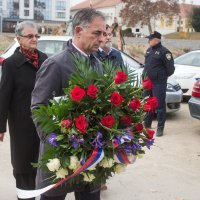 Milorad Pupovac položio vijenac u rijeku Dunav