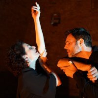 'Konstelacije' u Exitu