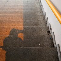 Honor Play - primjeri fotografija