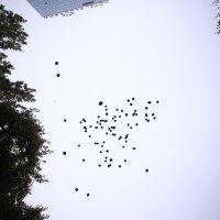 Puštanjem crnih balona u zrak obilježen Međunarodni dan borbe protiv nasilja nad ženama