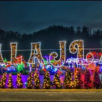 Noviteti obitelji Salaj