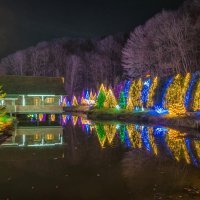 Noviteti obitelji Salaj