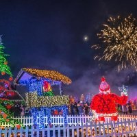 Noviteti obitelji Salaj