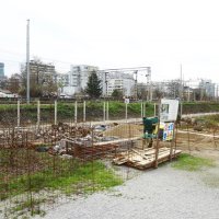 Pripremni radovi na uređenju šetnice u Botaničkom vrtu
