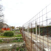 Pripremni radovi na uređenju šetnice u Botaničkom vrtu