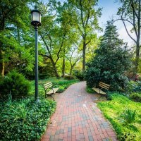 Sveučilište Johns Hopkins