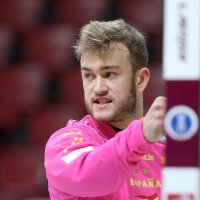 Gonzalo Perez de Vargas