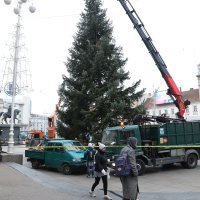 Postavljanje doniranog bora na Trg bana Jelačića