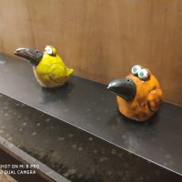 Xiaomi Mi 8 Pro - primjeri fotografija