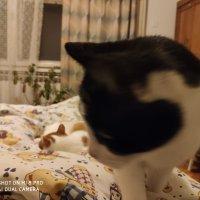 Xiaomi Mi 8 Pro - primjeri fotografija