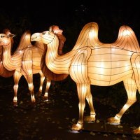 Festival svjetla u Parizu