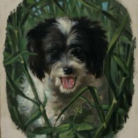 Glava psića 1901. - 1902.