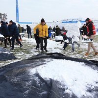 Čišćenje terena u Osijeku5