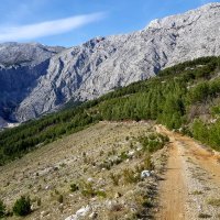 Biokovo Bast