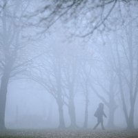 Zagreb: Gusta magla prekrila je grad