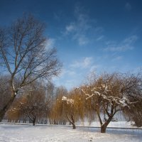 Osijek: Ponekad se iznad Drave kroz maglu probije sunce