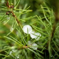 Tuča i oluja uzrokovale goleme štete u Njemačkoj