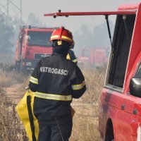 Dubrava kod Šibenika: Zračne snage pomažu vatrogascima u gašenju požara