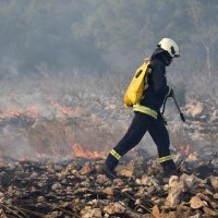Dubrava kod Šibenika: Zračne snage pomažu vatrogascima u gašenju požara