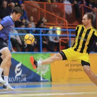 Quattro Leones - CB Doberman