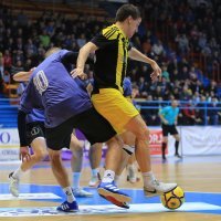 Quattro Leones - CB Doberman