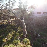 Snažni udar bure oštetio je nekoliko krovova na obiteljskim kućama u Posedarju