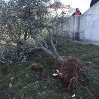 Snažni udar bure oštetio je nekoliko krovova na obiteljskim kućama u Posedarju
