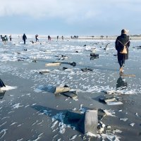 MSC Zoe brod kontejneri