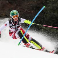 Katharina Liensberger