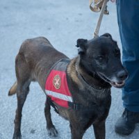 Nastavljena potraga za trećom nestalom osobom u požaru hidroelektrane