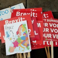 Prosvjed pred britanskim parlamentom